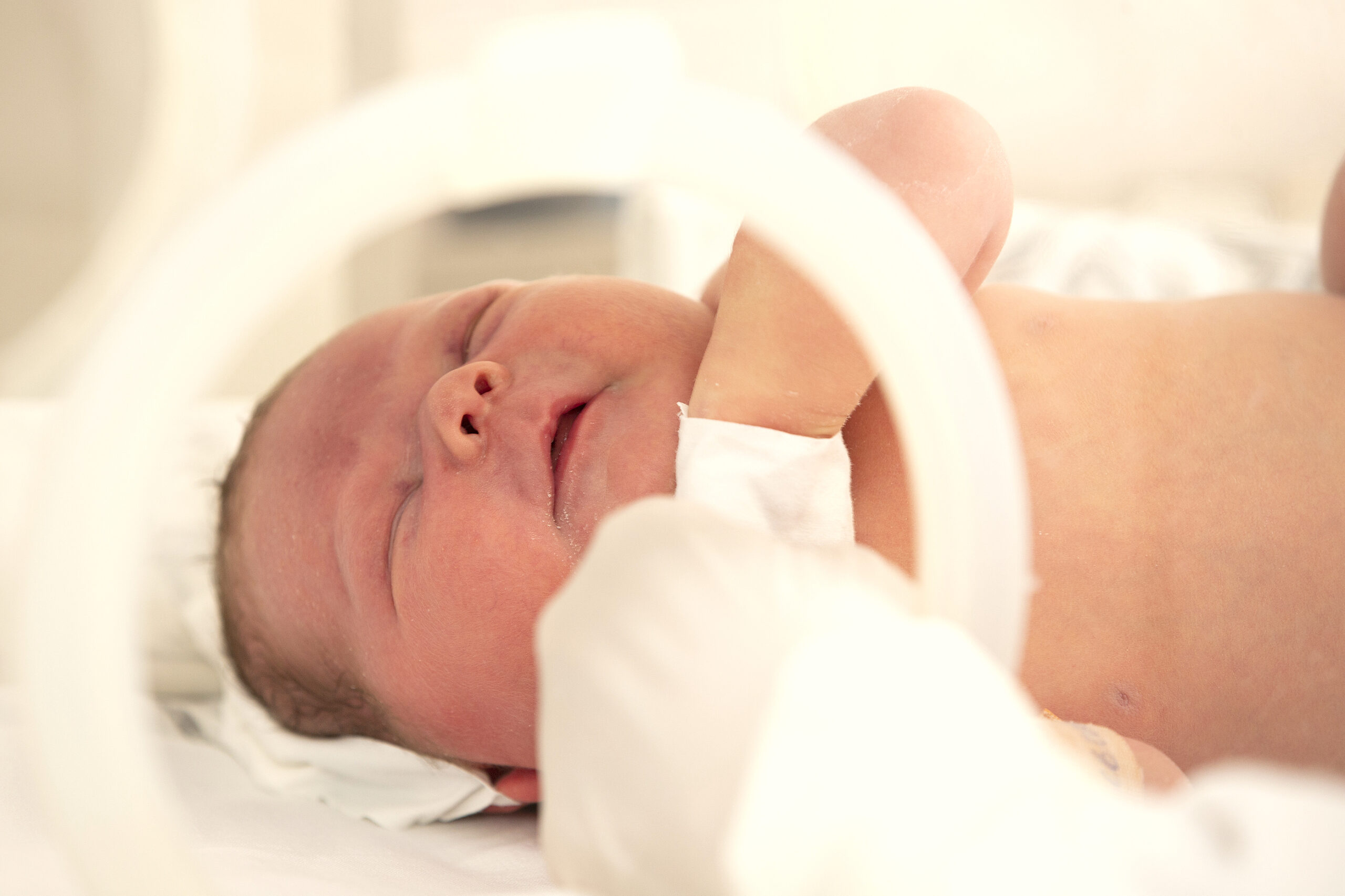 El microbioma de los bebés prematuros y la sepsis