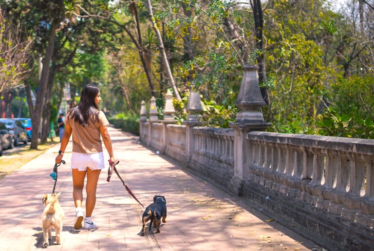 Beneficios de los trabajos de verano para los adolescentes