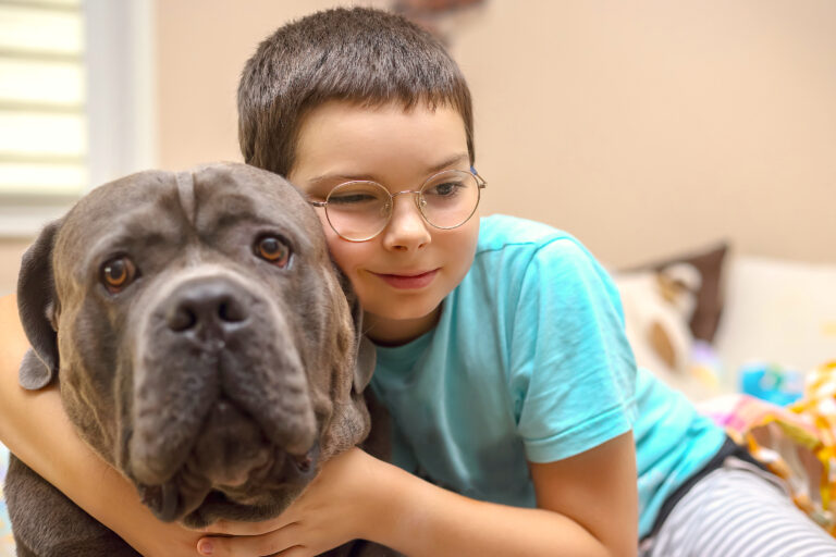 Perros combaten el abandono escolar entre adolescentes