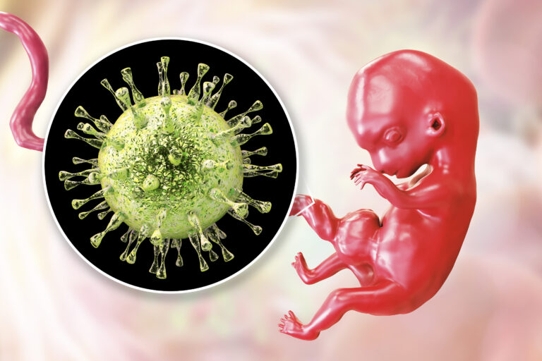 La exposición antes del embarazo a virus protege al bebé