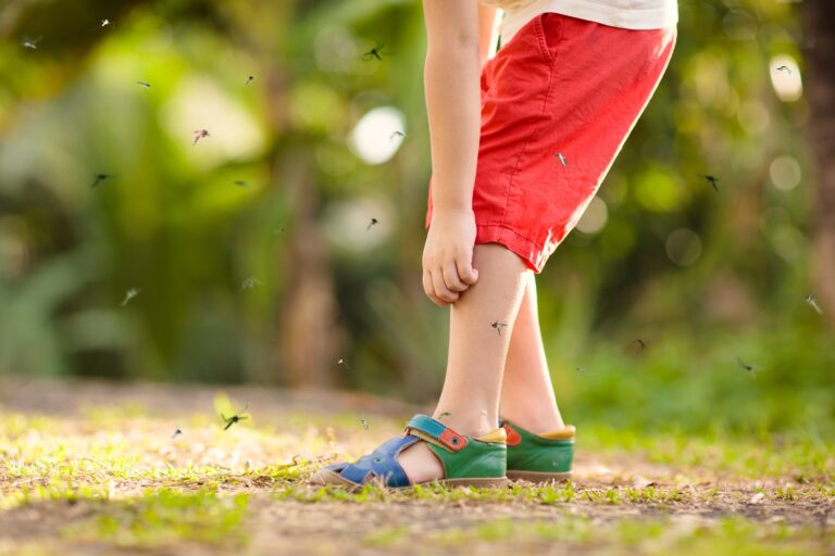 ¿Te vas de vacaciones? Así funciona la vacuna contra el dengue y en qué casos es recomendable si viajáis en familia